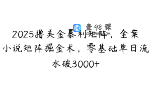 2025撸美金暴利矩阵，全案小说矩阵掘金术，零基础单日流水破3000+