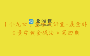 【小龙女】量学大讲堂-聂金群《量学黄金战法》第四期