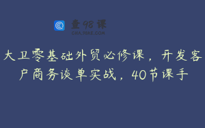 大卫零基础外贸必修课，开发客户商务谈单实战，40节课手