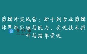 剪辑师实战营：新手到专业剪辑师思维突破与能力，实现技术提升与接单变现