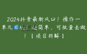 2024抖音最新风口！操作一单几百块！超简单，可批量去做！【项目拆解】
