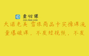 天诺老吴・雪狼商品卡实操课流量爆破课，不发短视频，不发