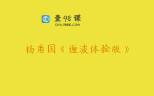 杨甫国《缠波体验版》