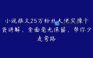 小说推文25万粉丝大佬实操干货讲解，全面毫无保留，帮你少走弯路