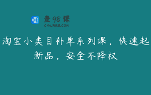 淘宝小类目补单系列课，快速起新品，安全不降权