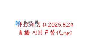神行研习社2025.8.24直播 AI国产替代.mp4