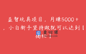 益智玩具项目,月赚5000+,小白新手坚持做就可以达到【揭秘】