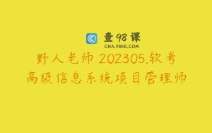 野人老师 202305.软考高级信息系统项目管理师