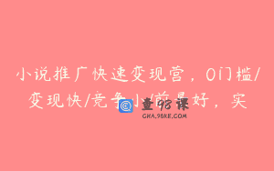 小说推广快速变现营，0门槛/变现快/竞争小/前景好，实