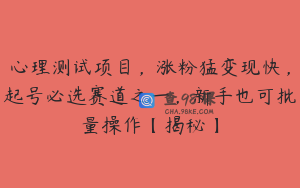 心理测试项目，涨粉猛变现快，起号必选赛道之一，新手也可批量操作【揭秘】