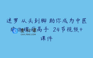迷罗 从头到脚 助你成为中医瑜伽理疗高手  24节视频+课件