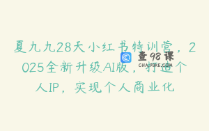 夏九九28天小红书特训营，2025全新升级AI版，打造个人IP，实现个人商业化