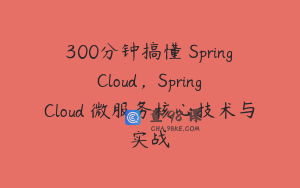 300分钟搞懂 Spring Cloud，Spring Cloud 微服务核心技术与实战