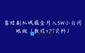 靠短剧私域掘金月入5W小白闭眼做（教程+2T资料）