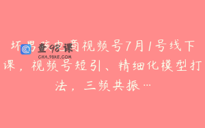 坏男孩电商视频号7月1号线下课，视频号短引、精细化模型打法，三频共振…