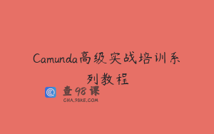 Camunda高级实战培训系列教程