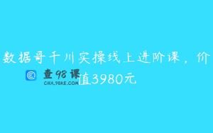 数据哥千川实操线上进阶课,价值3980元