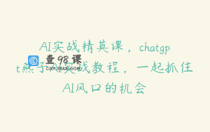 AI实战精英课，chatgpt燕子AI实战教程，一起抓住AI风口的机会