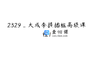 2329_大成拳提插桩高级课程1