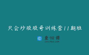 只会炒股股哥训练营11期班