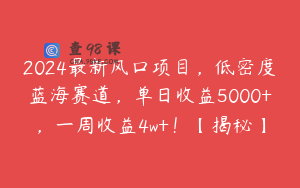 2024最新风口项目，低密度蓝海赛道，单日收益5000+，一周收益4w+！【揭秘】