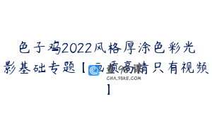 色子鸡2022风格厚涂色彩光影基础专题【画质高清只有视频】