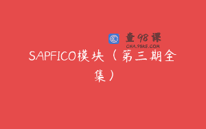 SAPFICO模块（第三期全集）