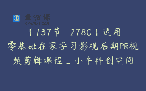 【137节-￥2780】适用零基础在家学习影视后期PR视频剪辑课程_小牛科创空间