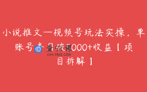 小说推文—视频号玩法实操，单账号半月破5000+收益【项目拆解】
