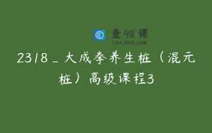 2318_大成拳养生桩（混元桩）高级课程3