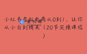 小红书虚拟电商从0到1,让你从小白到精英(20节实操课程)