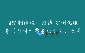 AI定制课程，打造 定制化服务（针对于零基础小白、电商