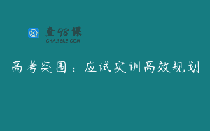 高考突围：应试实训高效规划