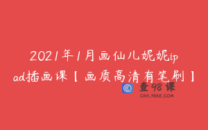 2021年1月画仙儿妮妮ipad插画课【画质高清有笔刷】