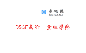 DSGE高阶_金融摩擦