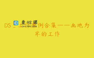 DS_工作案例合集——画地为牢的工作