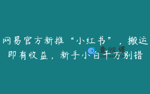 网易官方新推“小红书”，搬运即有收益，新手小白千万别错