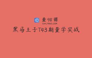 黑马王子T43期量学实战