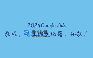 2024Google Ads教程，精准询盘秘籍，谷歌广