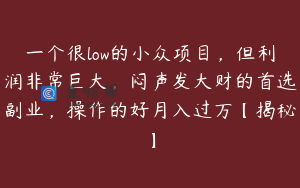 一个很low的小众项目，但利润非常巨大，闷声发大财的首选副业，操作的好月入过万【揭秘】