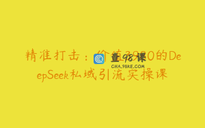 精准打击：价值3980的DeepSeek私域引流实操课