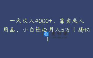 一天收入4000+，靠卖成人用品，小白轻松月入5万【揭秘】