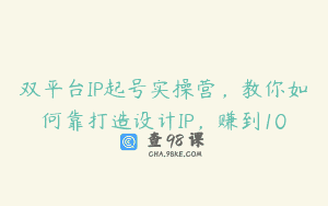 双平台IP起号实操营，教你如何靠打造设计IP，赚到10