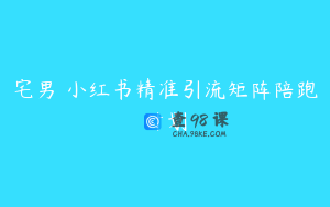 宅男 小红书精准引流矩阵陪跑计划