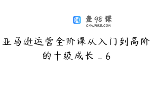 亚马逊运营全阶课从入门到高阶的十级成长_6