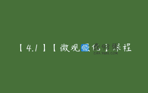 【4.1】【微观强化】课程