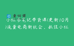 小红书笔记带货课(更新10月)流量电商新机会，抓住小红