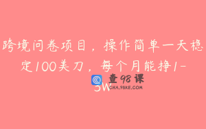 跨境问卷项目，操作简单一天稳定100美刀，每个月能挣1-3W