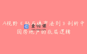 A视野《钻石楼市法则》剖析中国房地产的底层逻辑