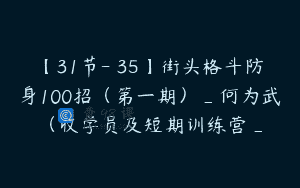 【31节-￥35】街头格斗防身100招（第一期）_何为武（收学员及短期训练营_